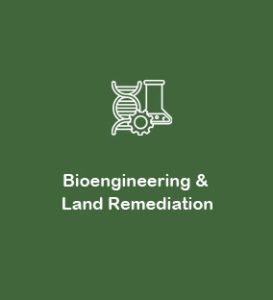 Bioengineering-Land-Remediation--ksa