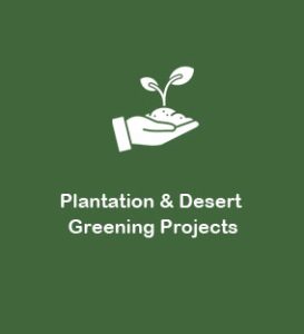 Plantation-Desert-Greening-Projects-ksa